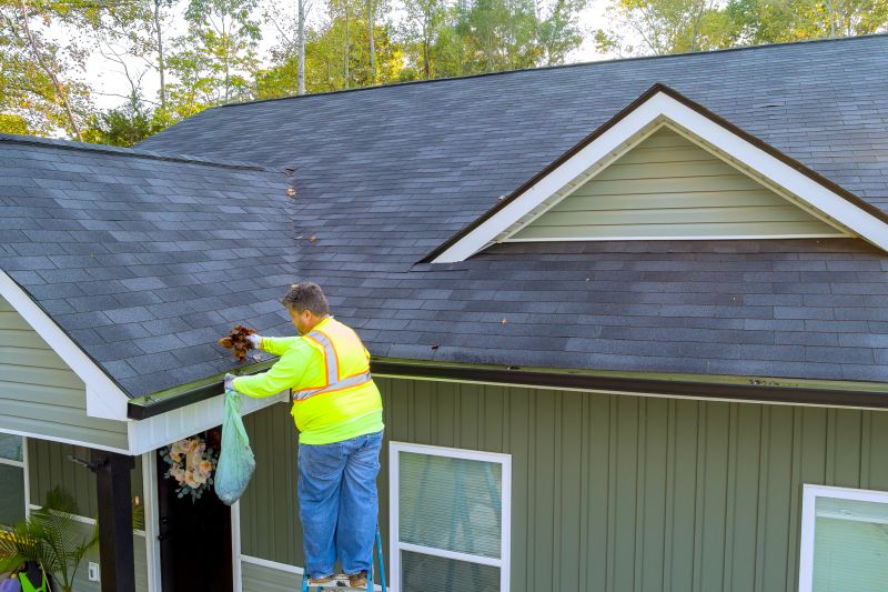 Gutter Cleaning Services
